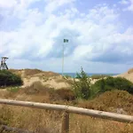 Romana Playa, Junto Al Mar, Completamente Reformado Διαμέρισμα